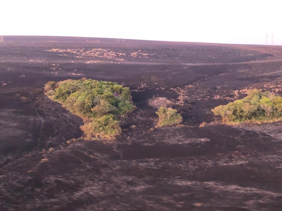 A área queimada ainda não foi contabilizada e somente após o término do combate é que será feita uma mensuração do território queimado